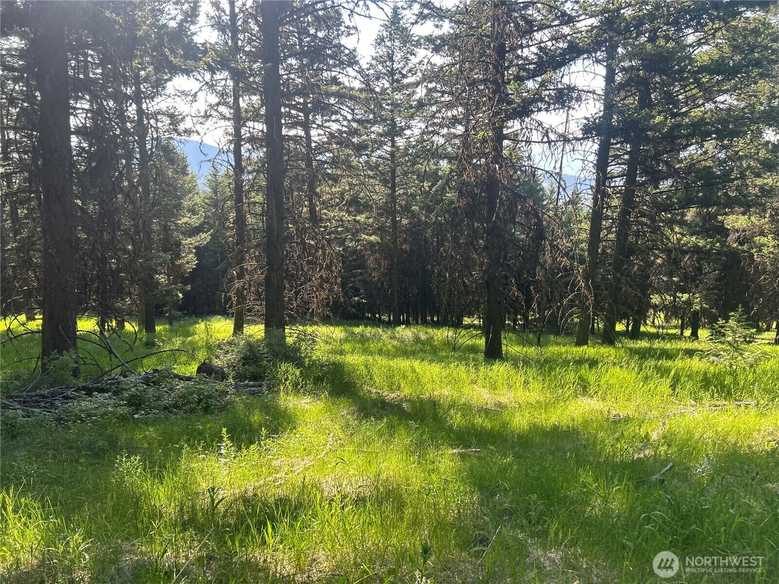 Property Photo: 0 Tbd Janet Marie Road WA 98855