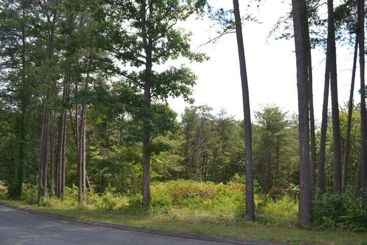 Property Photo:  16 Countryside Drive  TN 37327 