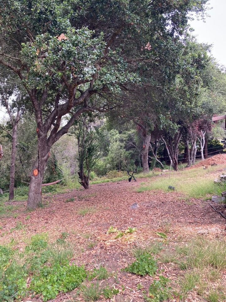 Property Photo: 514 Meder Street CA 95060