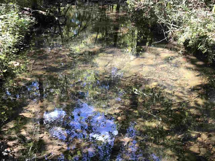Property Photo:  96 Acres Powell Hollow Road  AR 72482 
