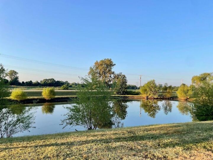Property Photo:  2333 Hunters Point Drive  IL 62040 