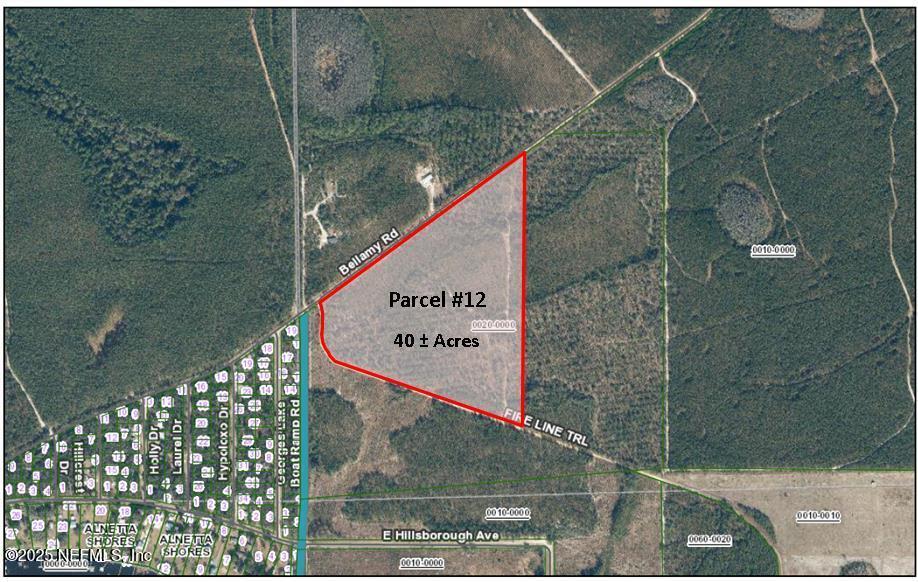 Parcel 12 Bellamy Road  Florahome FL 32140 photo
