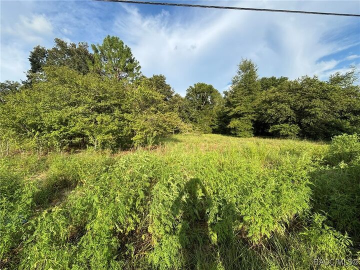 Property Photo: 802 Independence Highway FL 34453