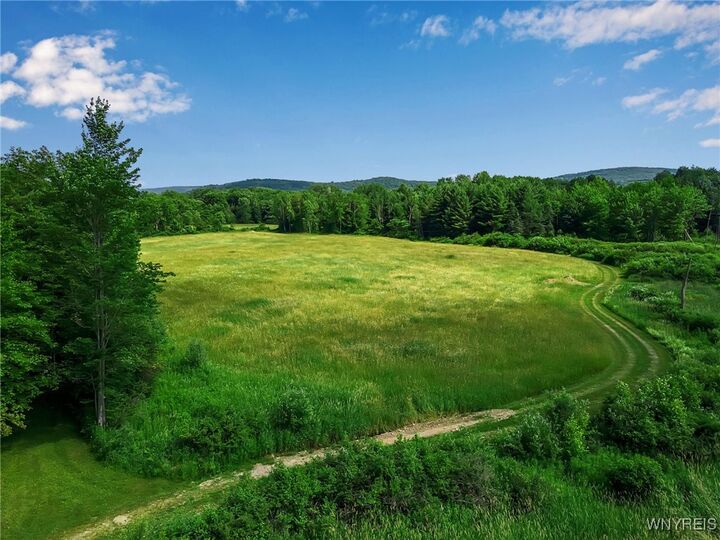 0 Toad Hollow Road  Little Valley NY 14755 photo