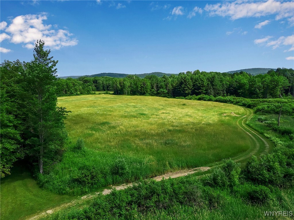 Property Photo: 0 Toad Hollow Road NY 14755