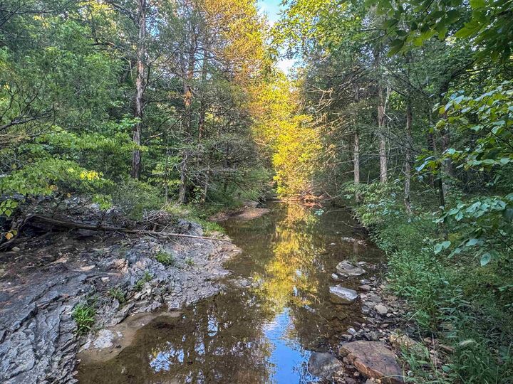 Property Photo: 000 Duncan Ln AR 72569
