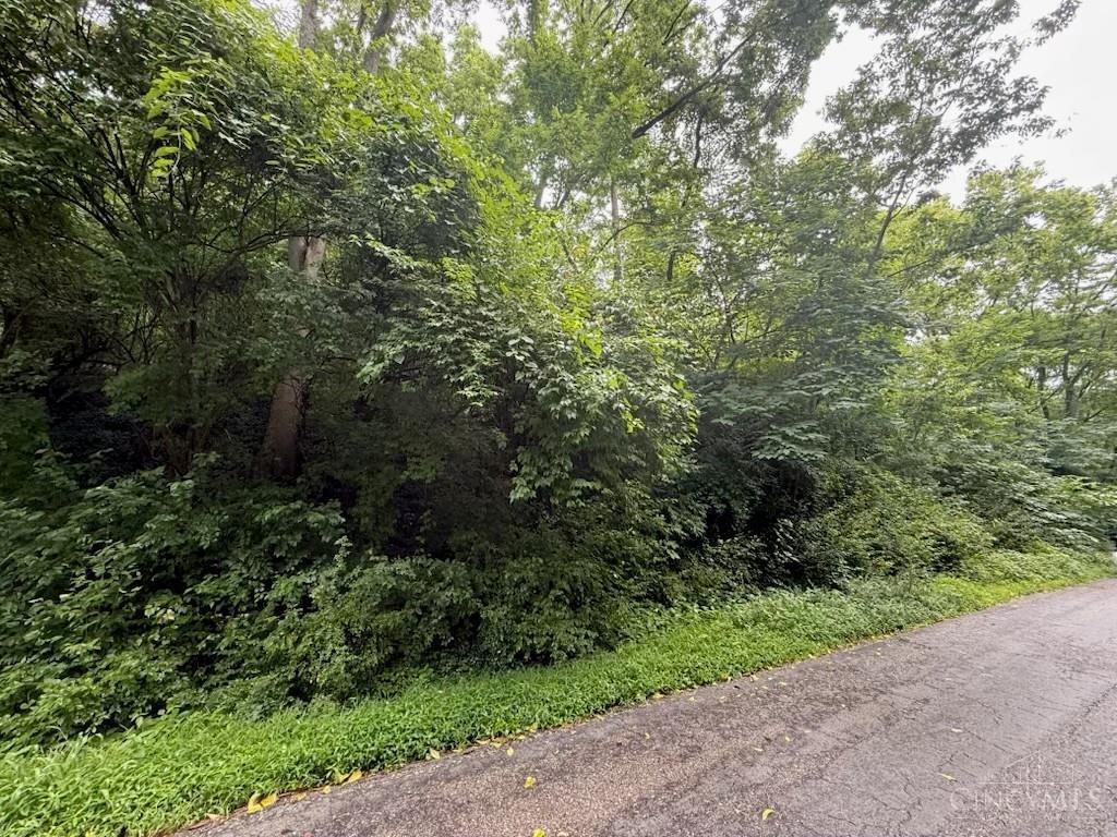 Property Photo: 0 Hillside Avenue OH 45233