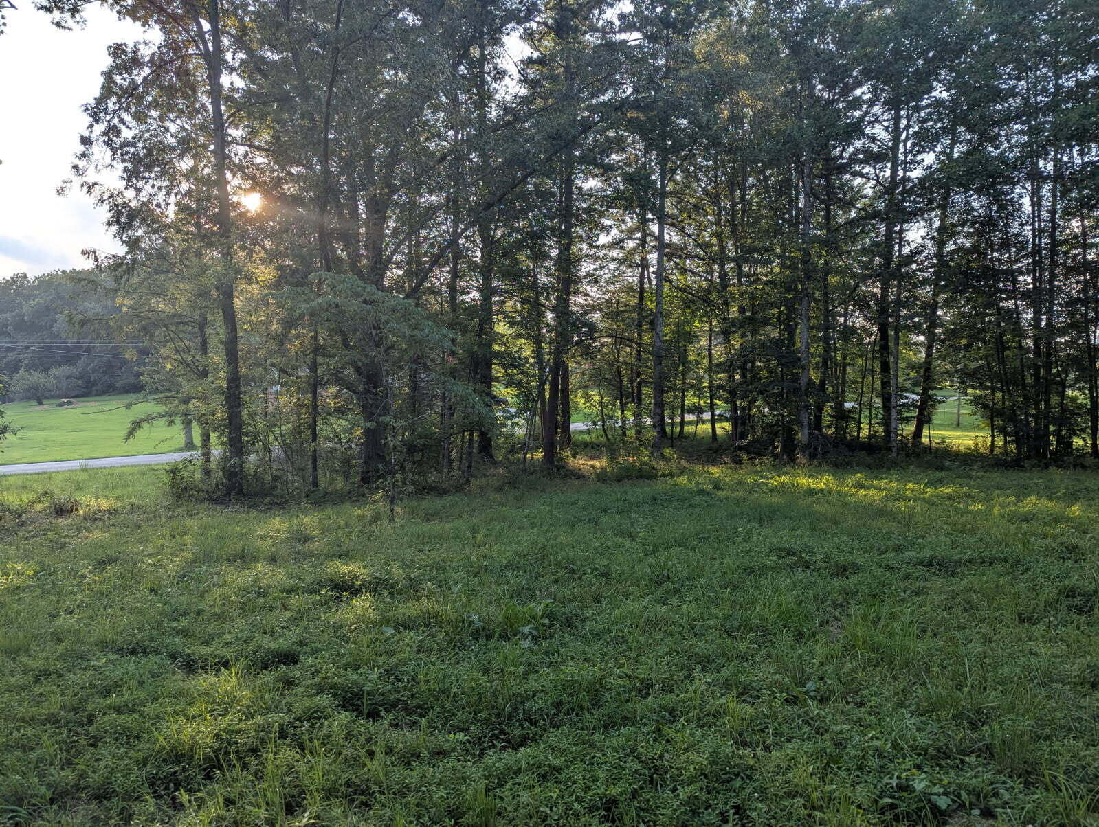 Property Photo: 780 Level Green Road KY 40701
