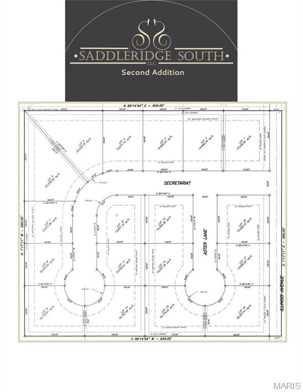 Property Photo:  419 Secretariat  MO 63801 