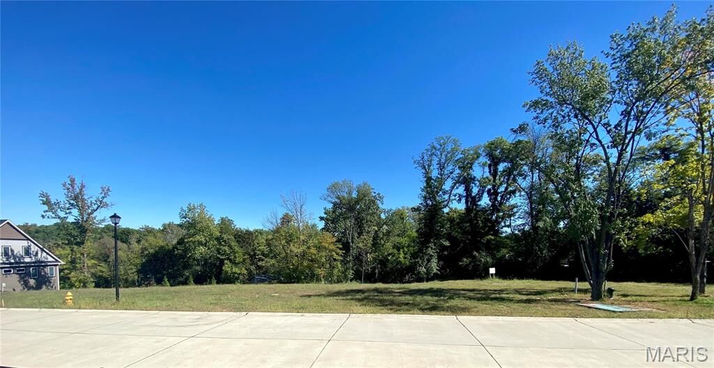 Property Photo: 2021 Lily Avenue MO 63122