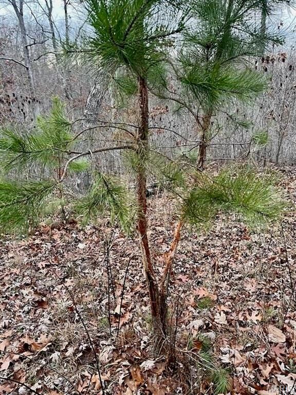 Property Photo: 0 125.87ac Tract A-2 Clear Creek Road MO 63071