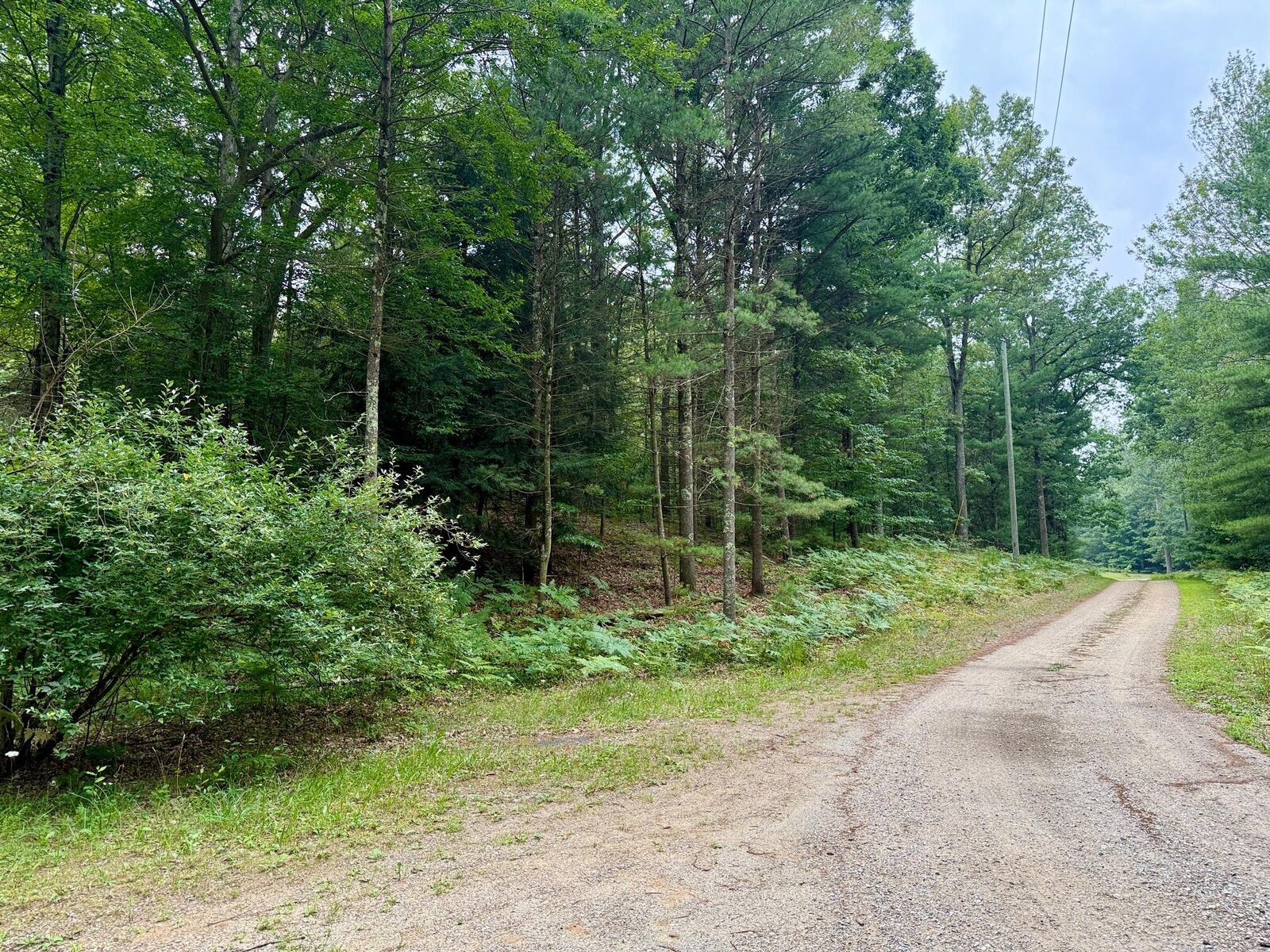 Property Photo: 1 Wayne MI 49449