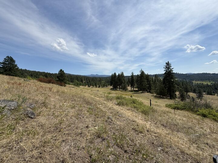 Property Photo: Tbd Seth Ln WA 99166