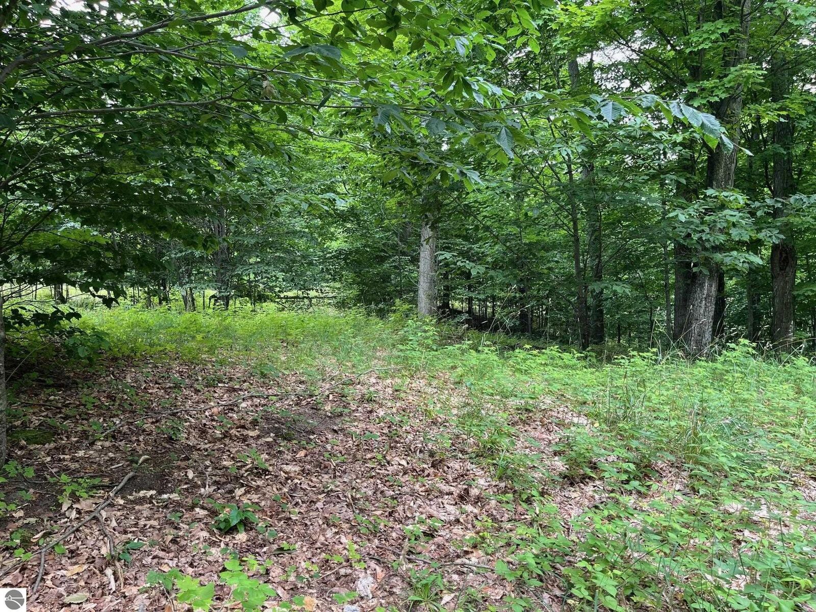 Property Photo:  011 W Timber View Trail  MI 49630 