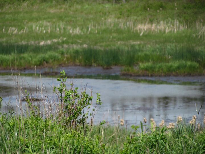 Property Photo:  Lot R3 Three Fathom Harbour Road  NS B0J 1N0 