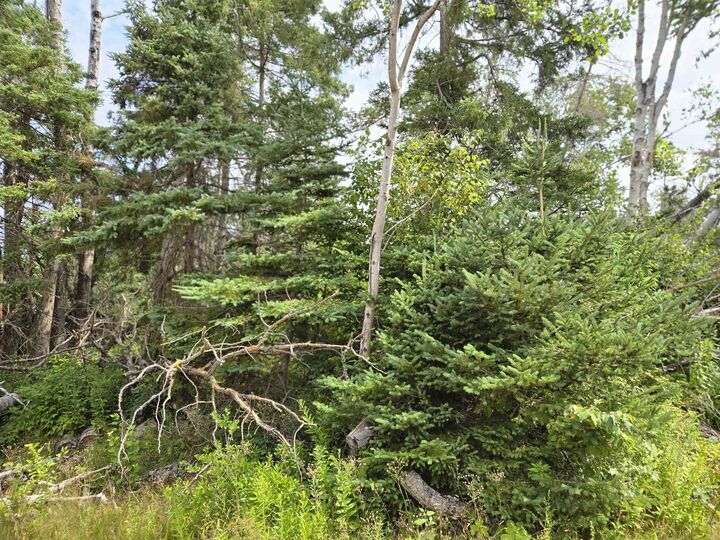 Property Photo:  Lot Hazels Way  PE C0A 1R0 