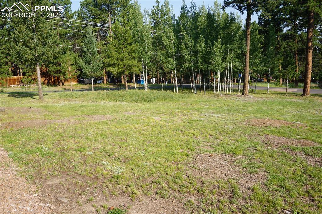 Property Photo: W Bowman Avenue CO 80863