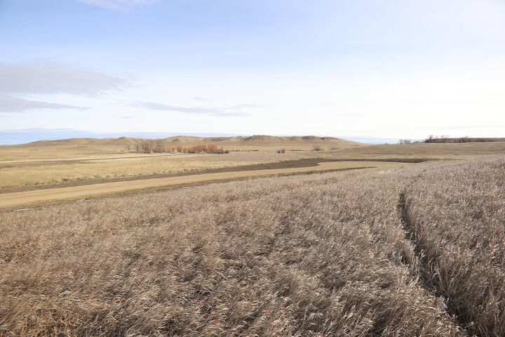 Property Photo:  Tbd McCormick Road Lot 3  WY 82833 