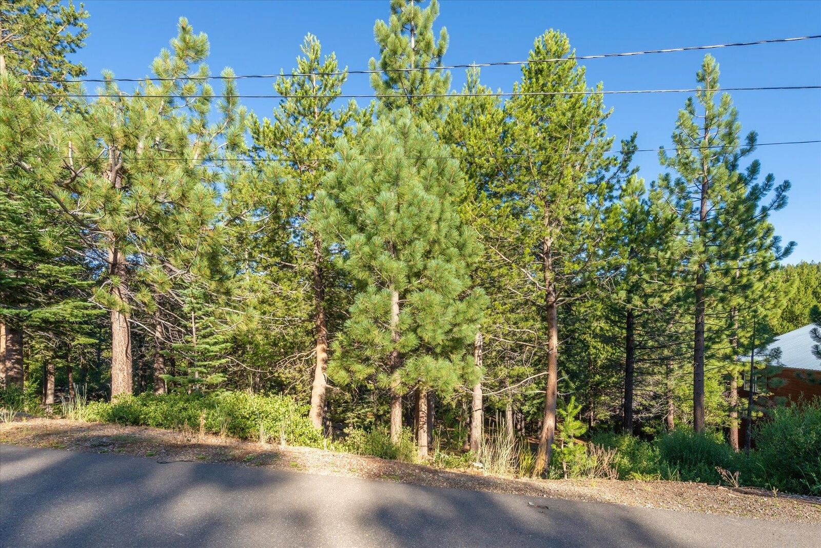 Property Photo: 13845 Hillside Drive CA 96161-000