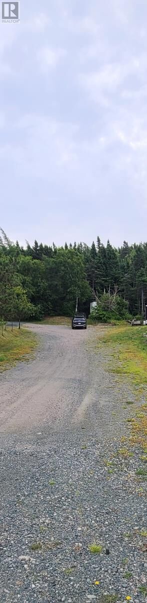 85 Conception Bay #B Highway  Holyrood NL A0A 2R0 photo
