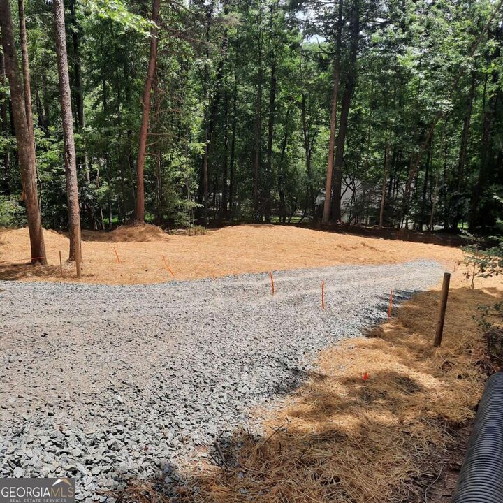 Property Photo:  Lot 195 Shenendoa Drive Lot 195  GA 30540 