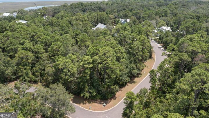 Property Photo:  V/L 396 Cumberland Harbour Ph3  GA 31558 