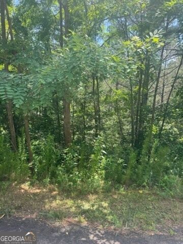 Property Photo: Lts 43 &Amp 44 Reece Mountain Road GA 30536