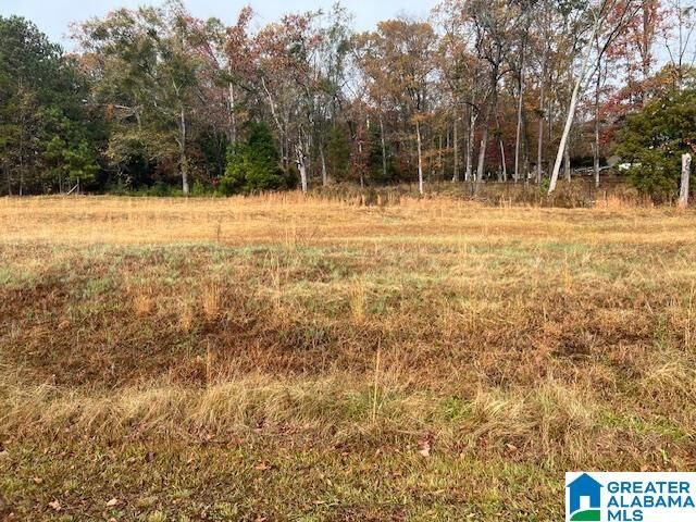 Property Photo:  90 Eastland Drive None  AL 35096 