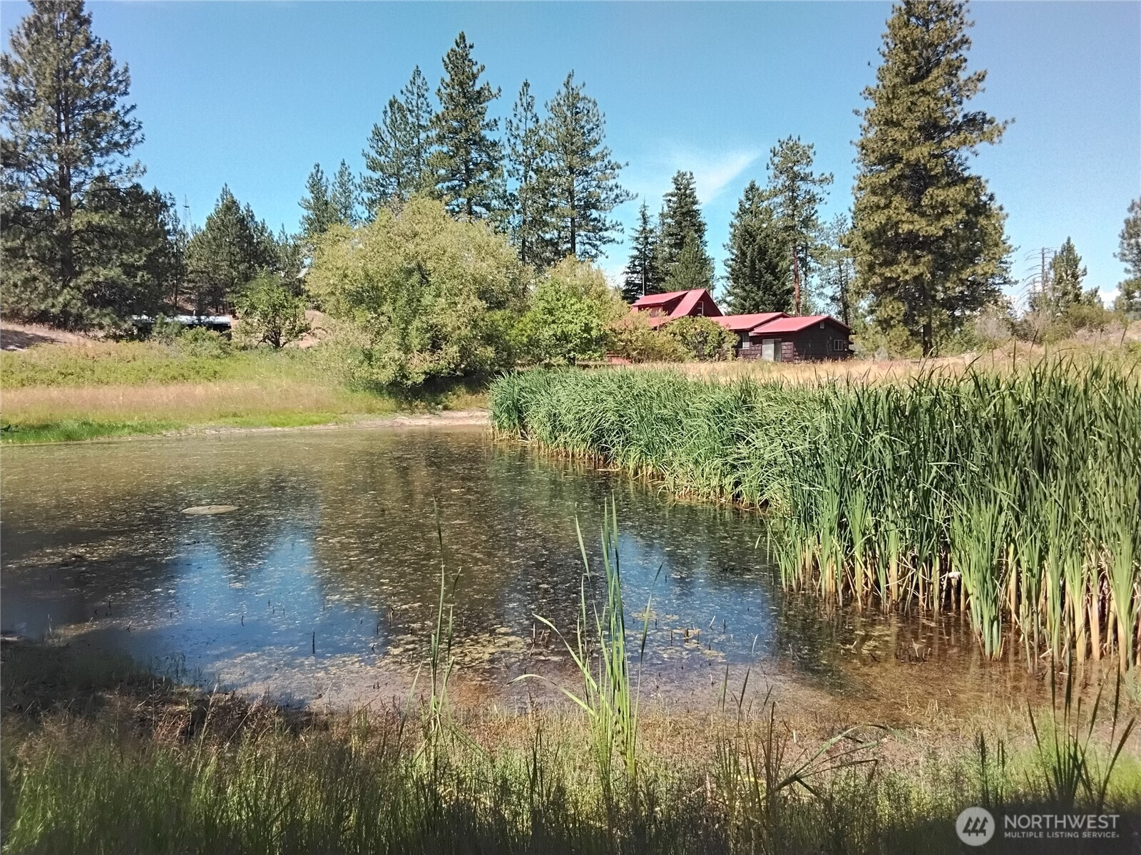 Property Photo:  41  Balsam Drive  WA 98855 