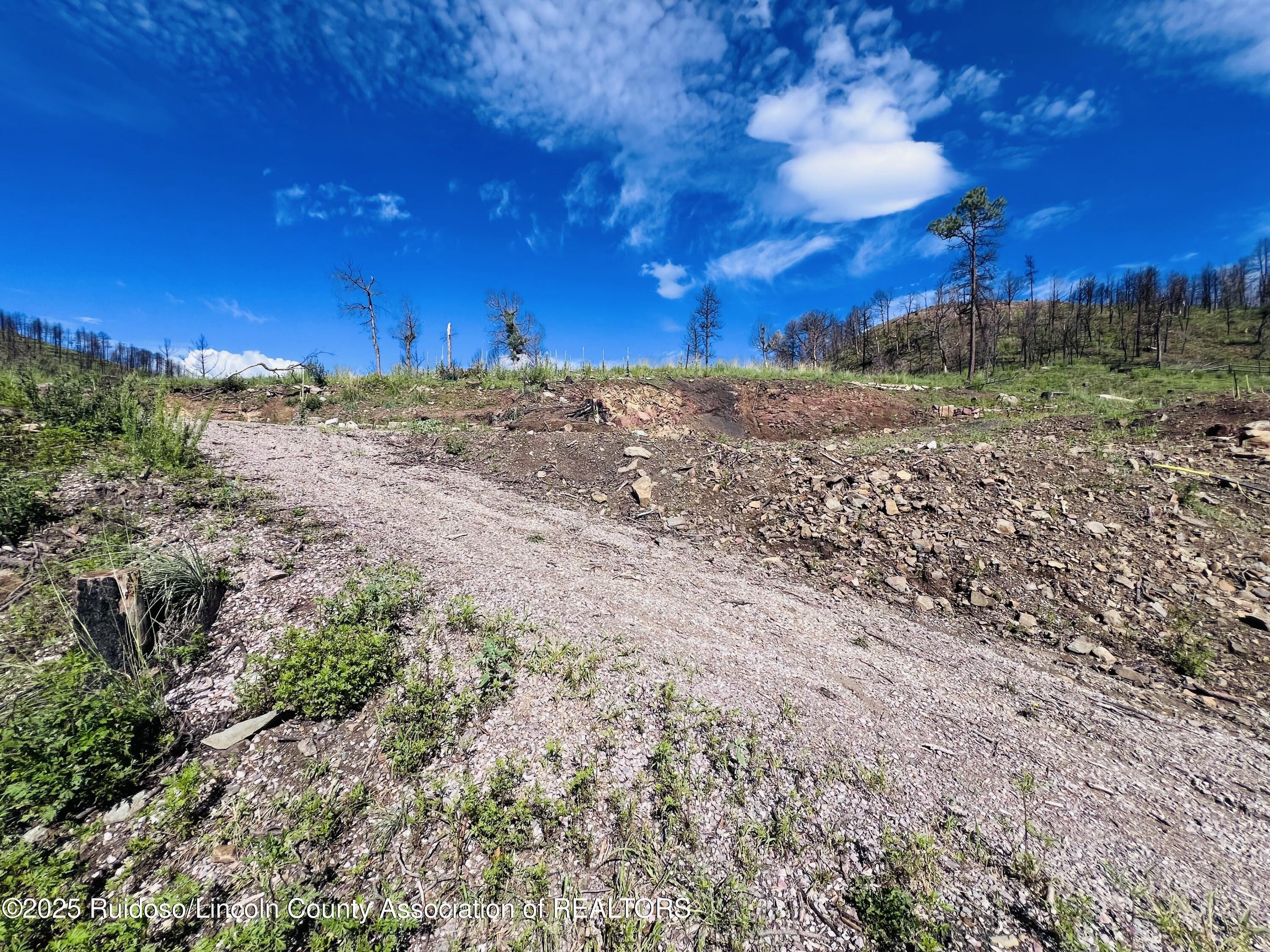 Property Photo: 103 Musketball Drive NM 88345