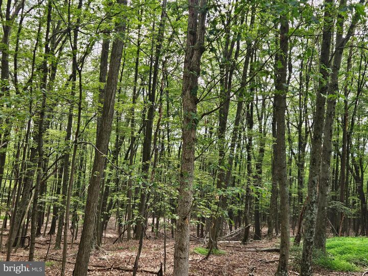 Elbinsville Road  Flintstone MD 21530 photo