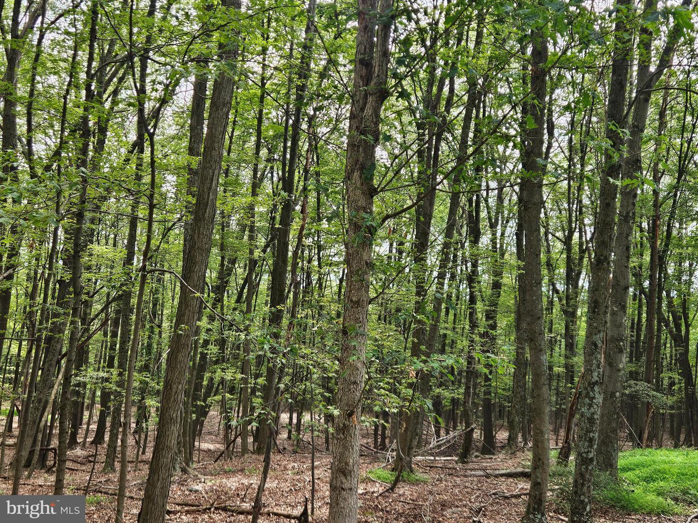 Property Photo:  Elbinsville Road  MD 21530 