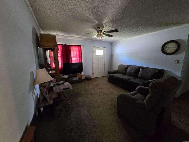 Property Photo: 733 Smith AR 72472