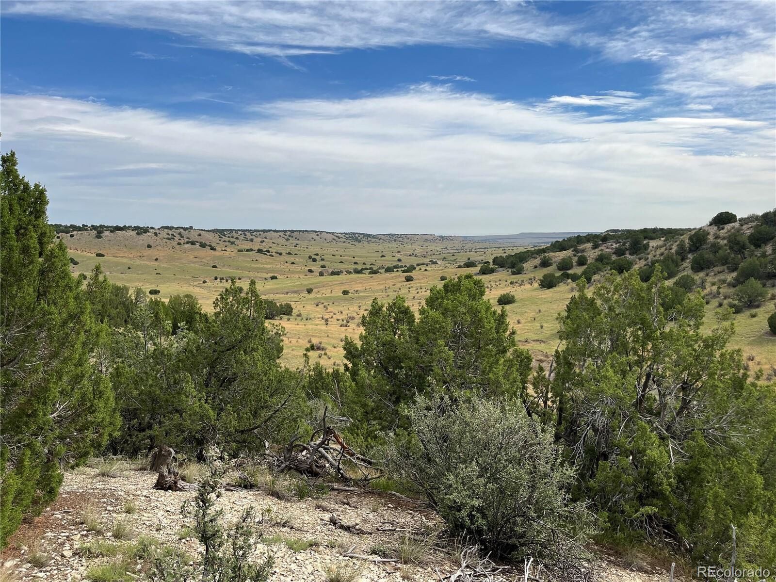 Property Photo:  72 Sunflower Ln  CO 81004 