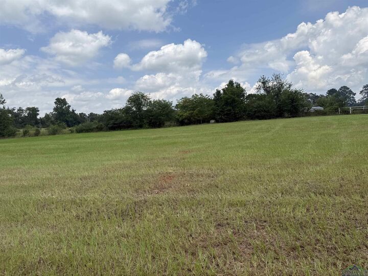 Property Photo: Tract 4 Cr 475 TX 75654