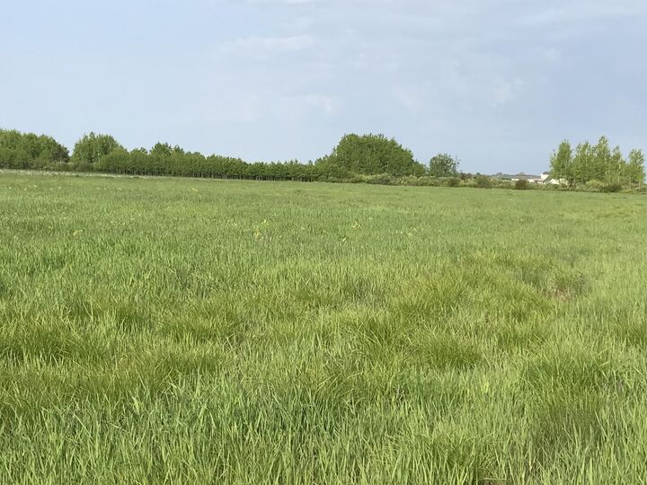 Property Photo:  Parcel A Shunk Road  MI 49783 
