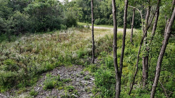 Property Photo:  Lot 10 776th Avenue  WI 54767 