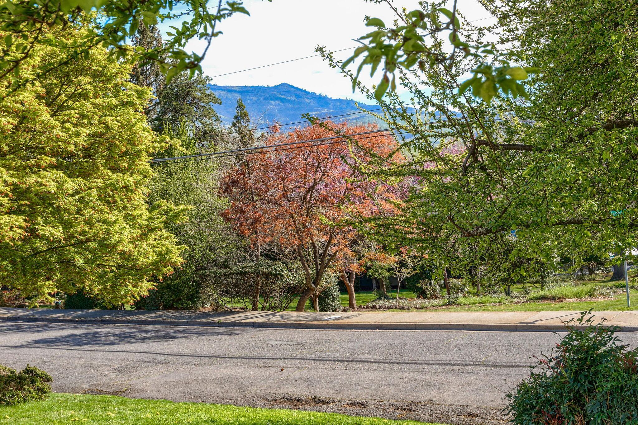 Property Photo: 495 Chestnut Street 6 OR 97520