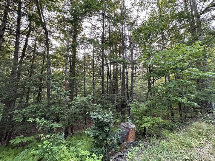 Property Photo:  0 Shaw Road  MA 01026 