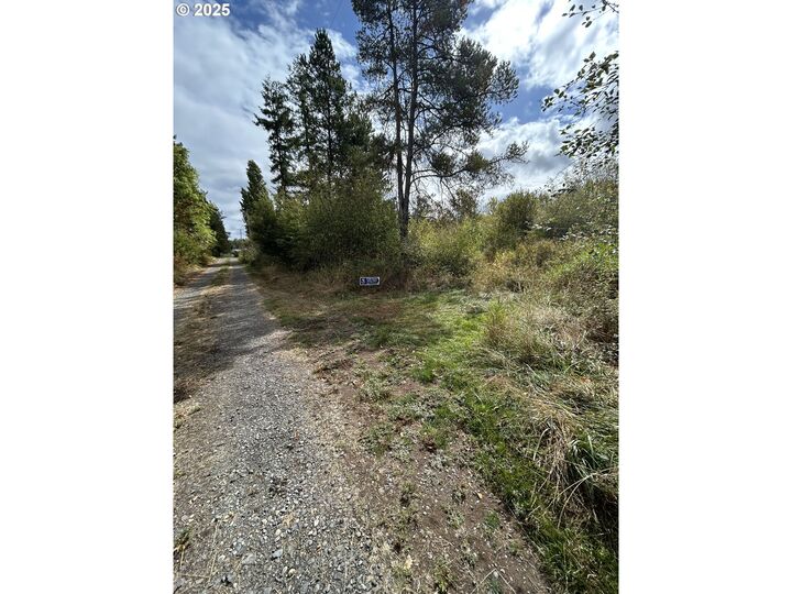 Property Photo: 0 Nicholson Rd WA 98591