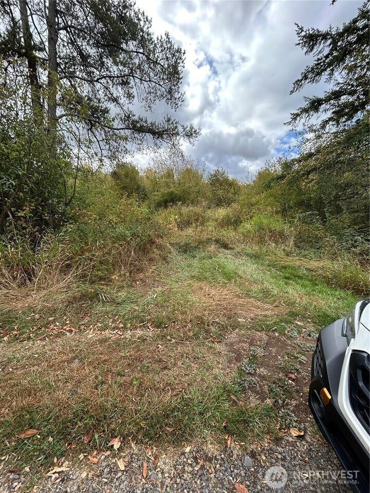 Property Photo:  0  Nicholson Road  WA 98591 