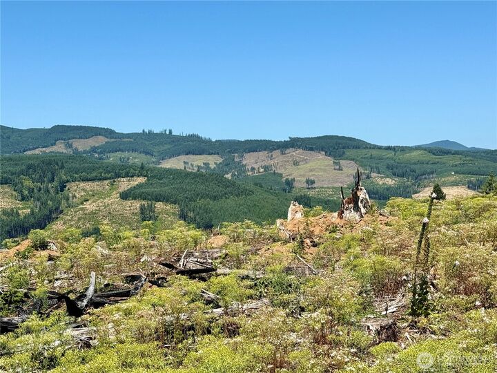 Property Photo:  3725  Little Kalama River Road 6  WA 98584 