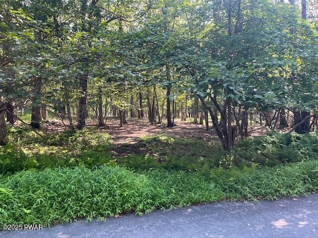 Property Photo: Lot 34 Walnut Road PA 18337