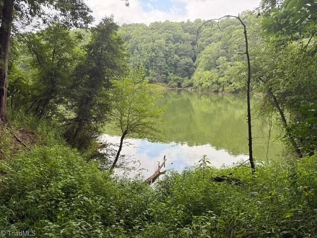 00 Red Top Road  Wilkesboro NC 28697 photo