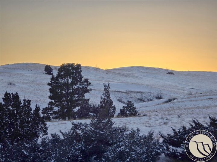 Property Photo:  251 Hump Creek Lot 1 Road  MT 59069 