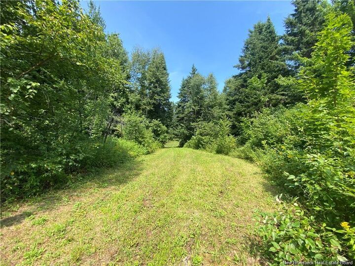 Property Photo:  Land Archibald Road  NB E8G 1W5 