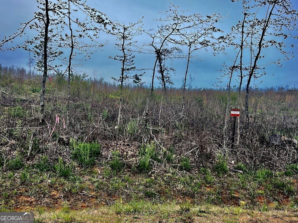 Property Photo:  Tract B Co Rd 123  AL 36278 