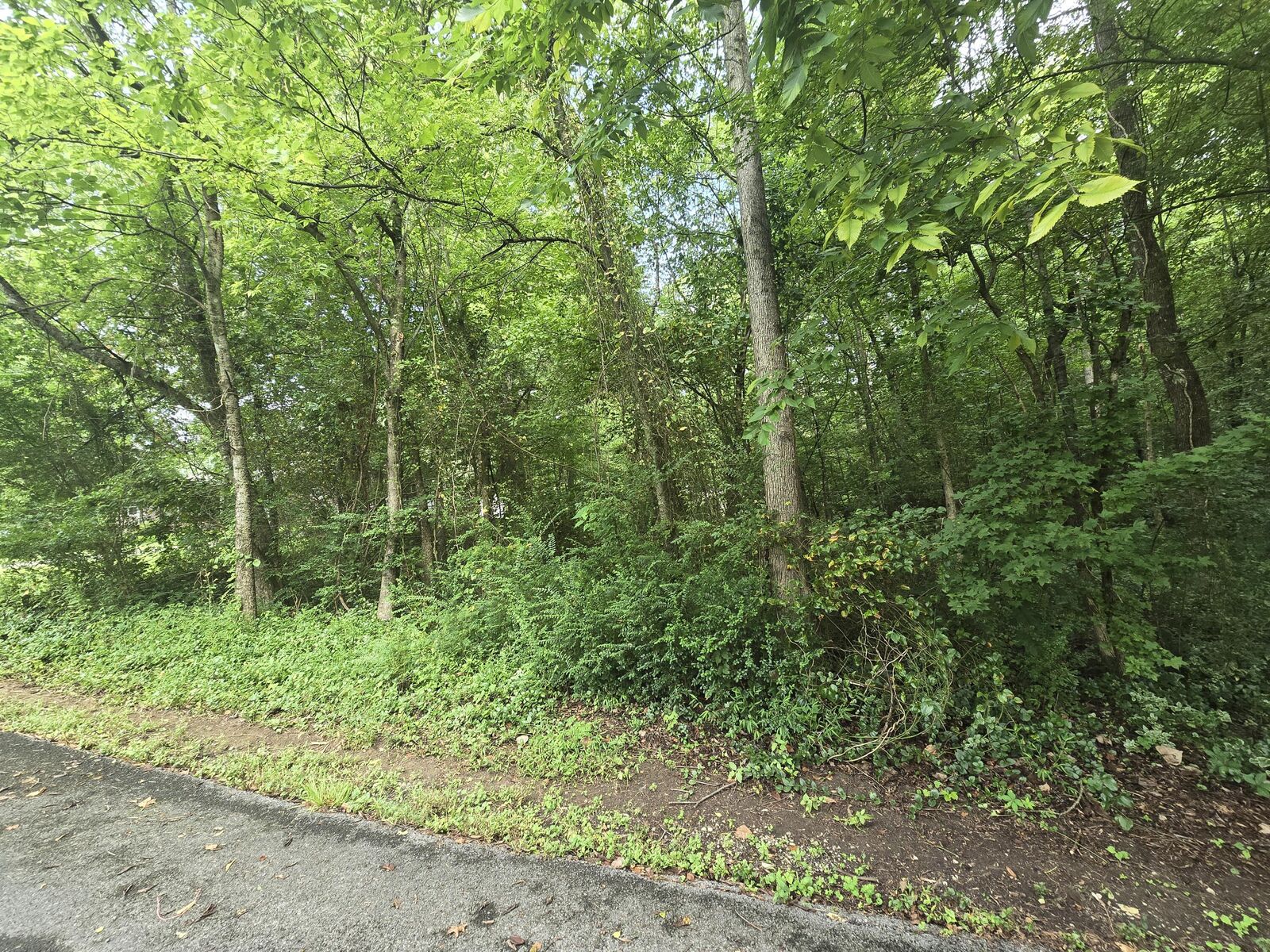 Property Photo: 128 Hummingbird Drive NW TN 37312