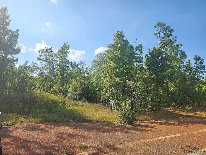 Property Photo:  Tbd Pine Bluff Road  TX 75661 