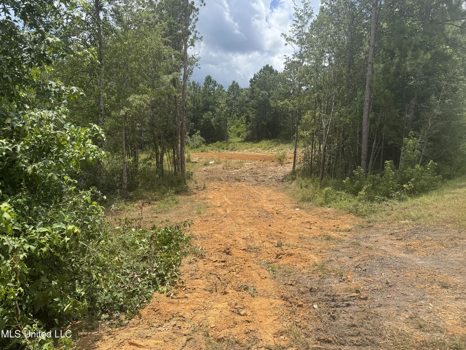Property Photo: 198 Beaver Dam Road MS 39561